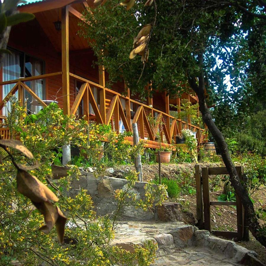 Las Lomitas De Guayacan, Cabanas Y Spa San Jose de Maipo Exterior photo
