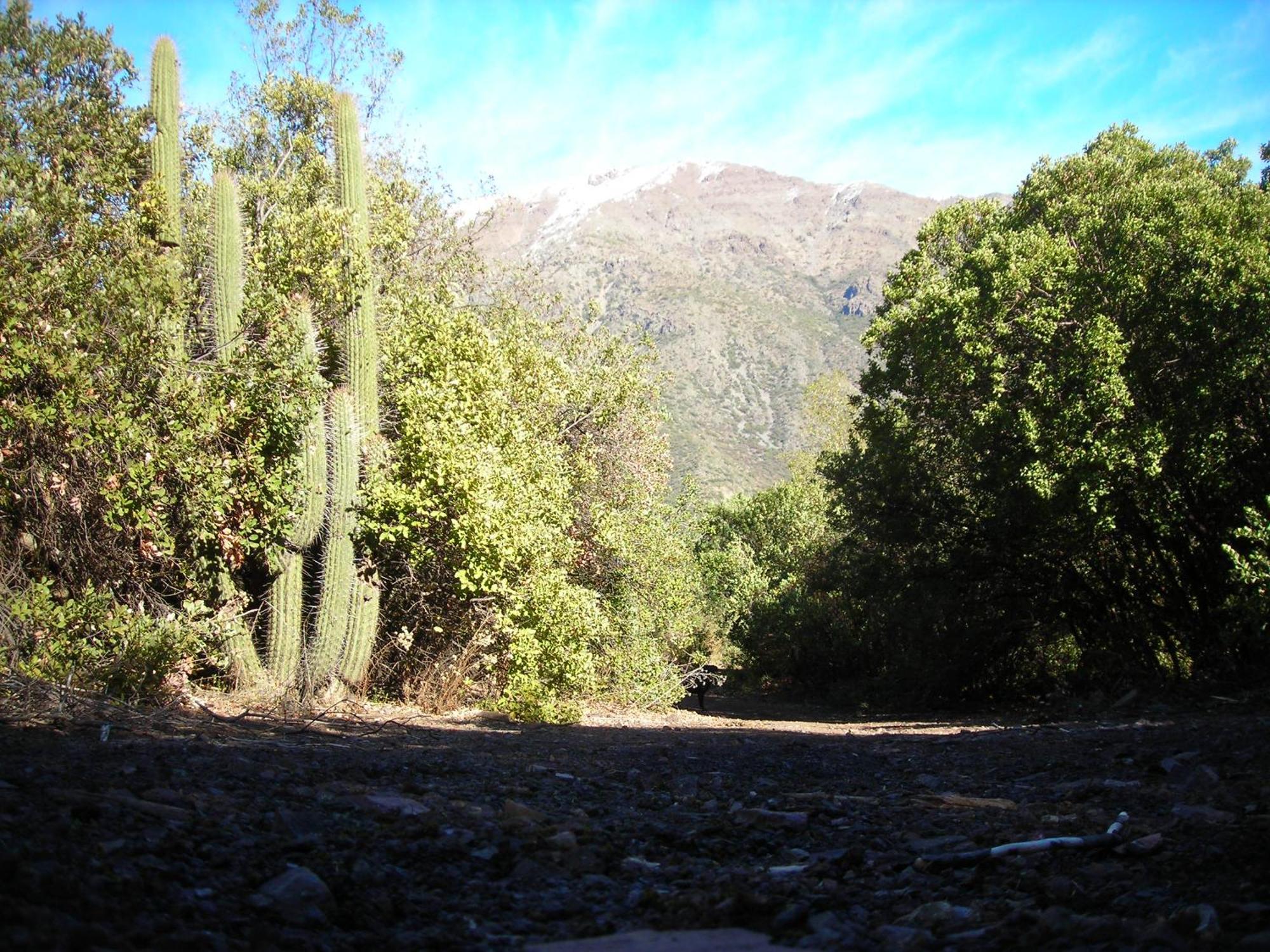 Las Lomitas De Guayacan, Cabanas Y Spa San Jose de Maipo Exterior photo